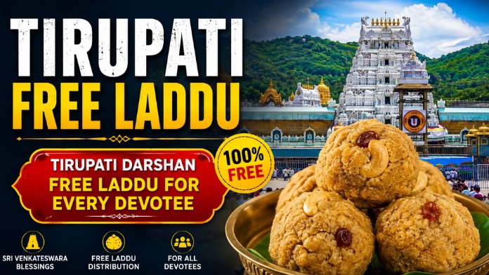 Laddu A Traditional Indian Sweet Loved by Everyone